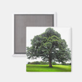 Heaton Park Magnet (Voorkant / Achterkant)