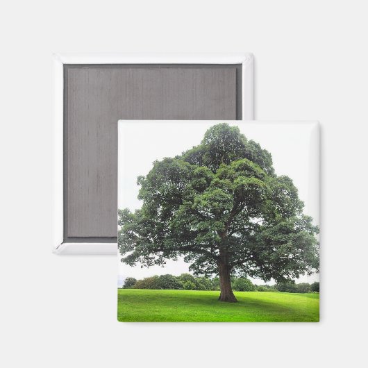 Heaton Park Magnet (Voorkant / Achterkant)