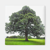 Heaton Park Magnet (Voorkant)