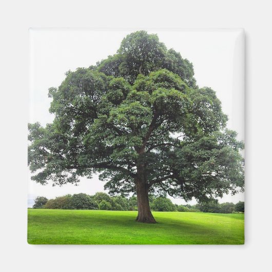 Heaton Park Magnet (Voorkant)