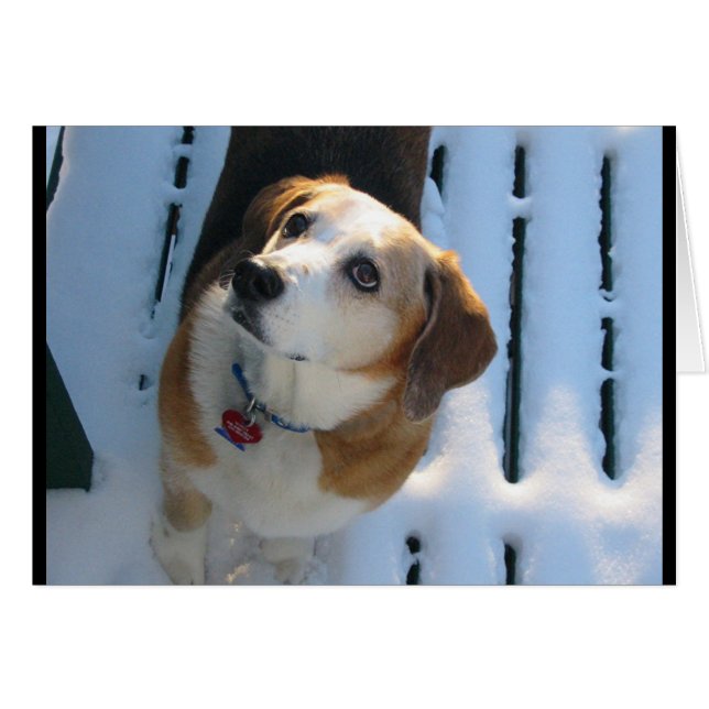 Heaven Hound (Voorkant Horizontaal)