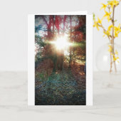 Heaven laat je licht uitschijnen kaart (Gele Bloem)