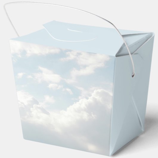 Heaven Sent Clouds Sky Celestial Baby shower Bedankdoosjes (Achterkant)