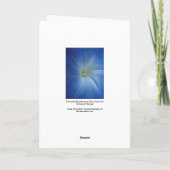 Heavenly Blue Morning Glory Close-up Birthday Card Kaart (Achterkant)