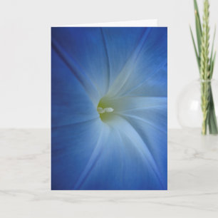 Heavenly Blue Morning Glory Close-up Birthday Card Kaart