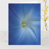 Heavenly Blue Morning Glory Close-up Birthday Card Kaart (Gele Bloem)
