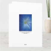 Heavenly Blue Morning Glory Close-up Birthday Card Kaart (Achterkant)