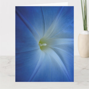 Heavenly Blue Morning Glory Close-up Birthday Card Kaart