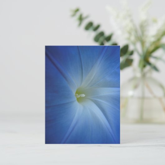 Heavenly Blue Morning Glory Close-up Briefkaart (Staand voorkant)