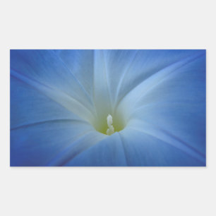 Heavenly Blue Morning Glory close-up foto Rechthoekige Sticker