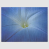 Heavenly Blue Morning Glory close-up foto Tissuepapier (Voorkant)