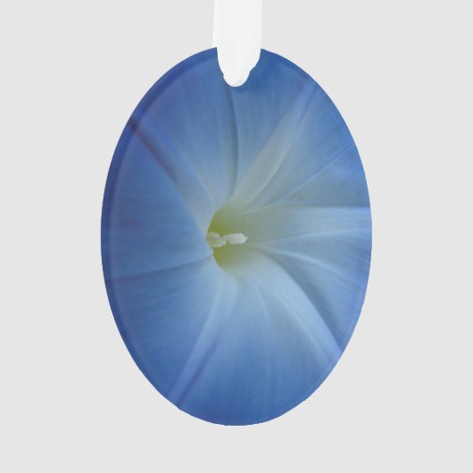 Heavenly Blue Morning Glory Close-up Ornament (achterkant)