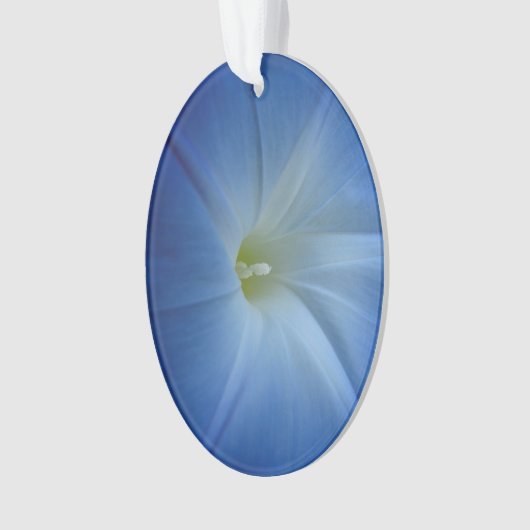 Heavenly Blue Morning Glory Close-up Ornament (voorkant)