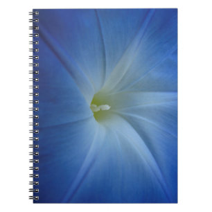 Heavenly Blue Morning Glory Flower Foto Notitieboek