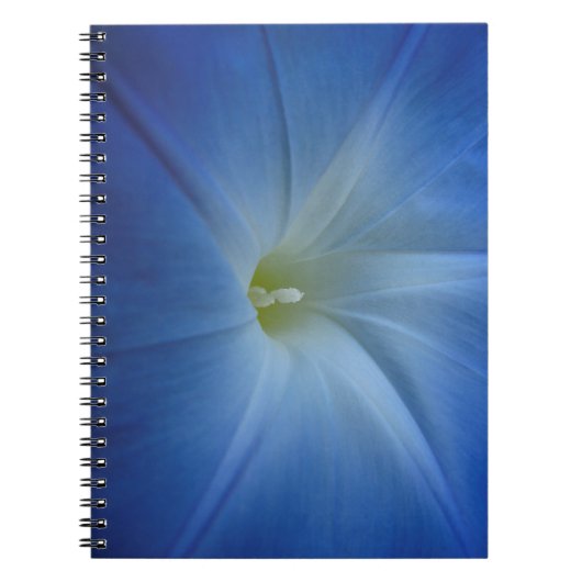 Heavenly Blue Morning Glory Flower Notitieboek (Voorkant)