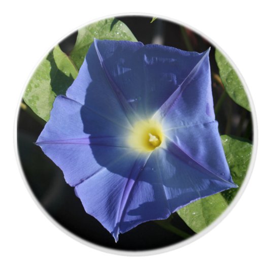 Heavenly Blue Morning Glory Kitchen Knobs Keramische Knop (Voorkant)