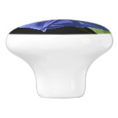 Heavenly Blue Morning Glory Kitchen Knobs Keramische Knop (Zijkant)