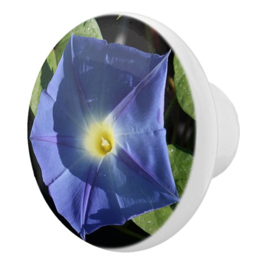 Heavenly Blue Morning Glory Kitchen Knobs Keramische Knop (Rechts)