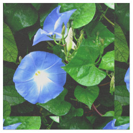 Heavenly Blue Morning Glory Stof