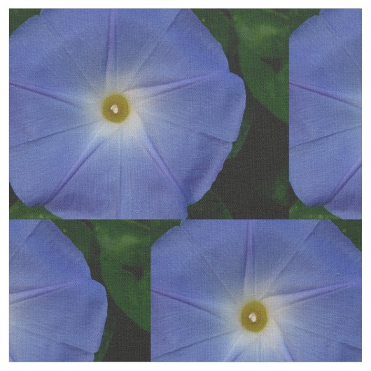 Heavenly Blue Morning Glory Stof (Close Up)