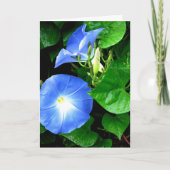 Heavenly Blue Morning Glory Verjaardag Kaart (Voorkant)