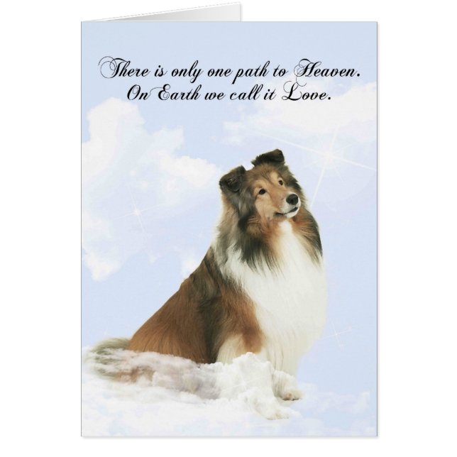 Heavenly Grace Sheltie (Voorkant)