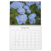Heavenly Hydrangeas - 2011 Kalender (Jan 2026)