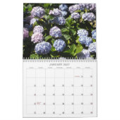 Heavenly Hydrangeas 2012 Kalender (Jan 2027)