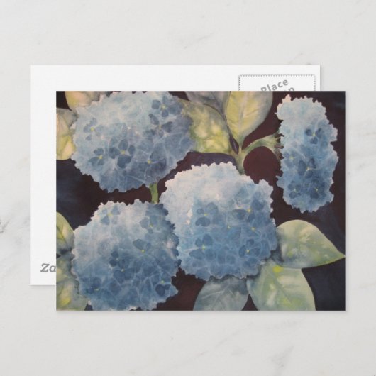 Heavenly Hydrangeas Briefkaart (Voorkant / Achterkant)