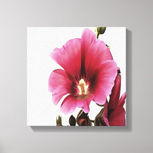 Heavenly Pink Hollyhock Malva Flower Canvas Afdruk (Voorkant)