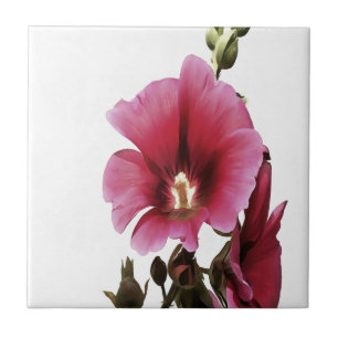 Heavenly Pink Hollyhock Malva Flower Tegeltje