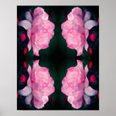 Heavenly Pink Rose Flower Abstract Poster (Voorkant)