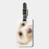 Heavenly Pup Bagagelabel (Voorkant verticaal)