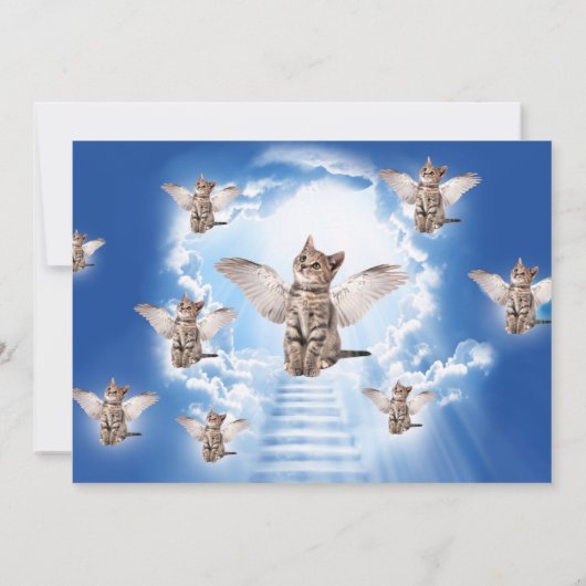 Heaven's Cat Birthday Invitation Kaart (Achterkant)
