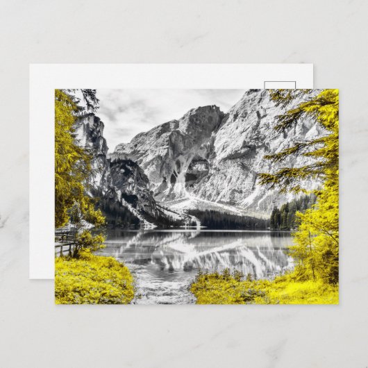 Heaven's Gate: Gele vlek van kleur Briefkaart (Voorkant / Achterkant)