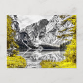 Heaven's Gate: Gele vlek van kleur Briefkaart (Voorkant)