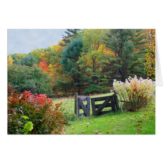 Heaven's Gate: New Hampshire (Voorkant Horizontaal)