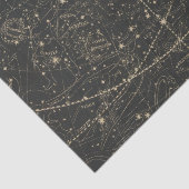 Heavens jan 21 apr 17 tissuepapier (Detail)