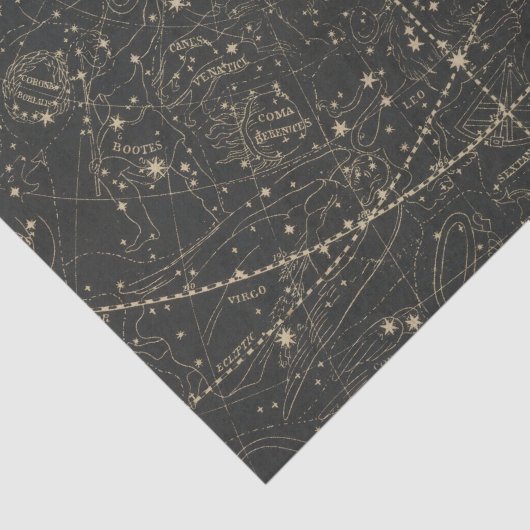 Heavens jan 21 apr 17 tissuepapier (Detail)