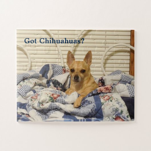 Heb Chihuahuas Puzzle Legpuzzel (Horizontaal)