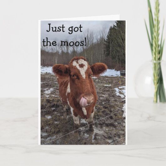 HEB DE MOOS (NIEUWS) HAPPY "VERJAARDAG" VOOR JE KAART (Voorkant)