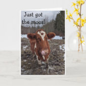 HEB DE MOOS (NIEUWS) HAPPY "VERJAARDAG" VOOR JE KAART (Gele Bloem)