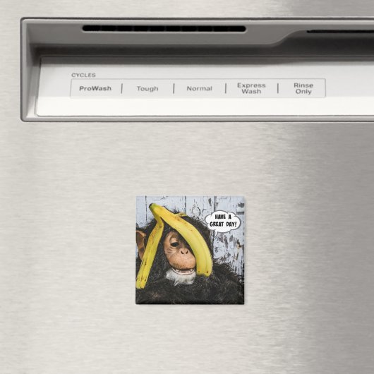 "Heb een geweldige dag" Magneet (Insitu (Vaatwasser))