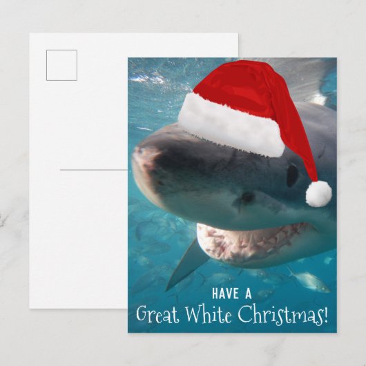 Heb een geweldige witte kerst grappige haai Austra Briefkaart (Voorkant / Achterkant)