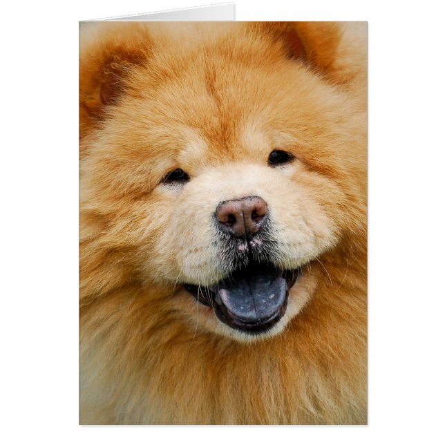 Heb een goede (Voorkant)