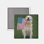 Heb een "gouden" viering magneet (Voorkant / Achterkant)