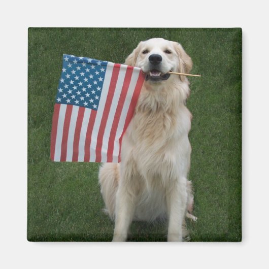 Heb een "gouden" viering magneet (Voorkant)