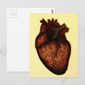 Heb een hart briefkaart (Voorkant / Achterkant)