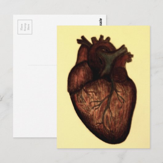 Heb een hart briefkaart (Voorkant / Achterkant)