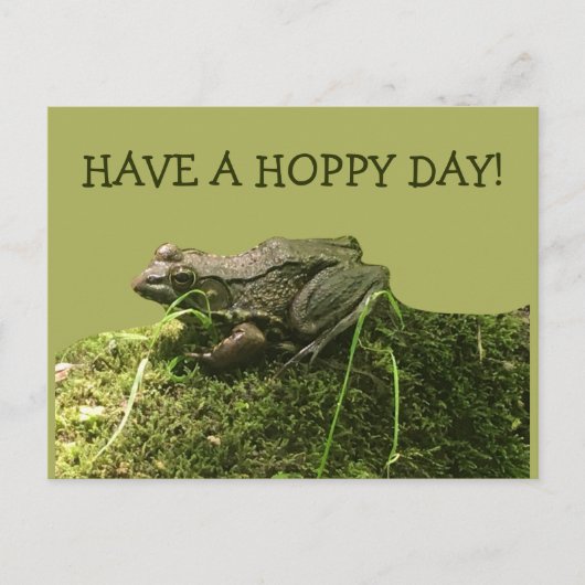 Heb een hoppy dag kikker foto groen briefkaart (Voorkant)